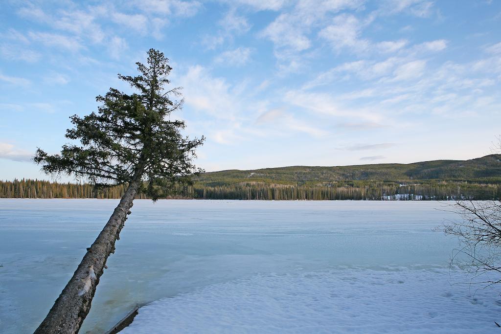 Lac Le Jeune Wilderness Resort Kamloops Exteriör bild